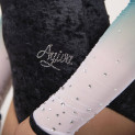 Turnanzug Samt langarm Ombre-Mesh 1610 AGIVA | Ballett Shop Zürich